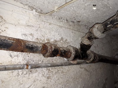 Schimmelpilz Schimmel Abwasser Rohre undicht Wasserschaden