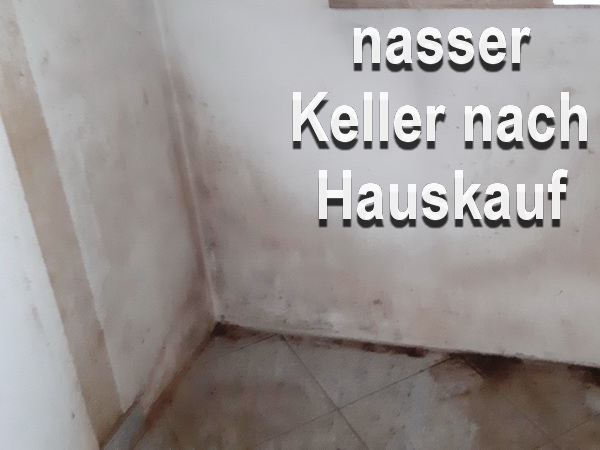 Kurzgutachten Hauskaufberatung nasser Keller nach Hauskauf ohne Beratung